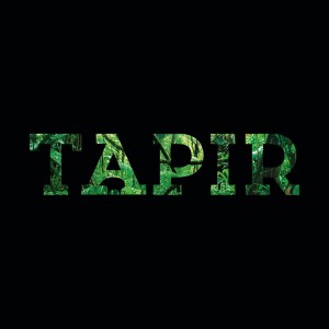 Tapir Media Logo
